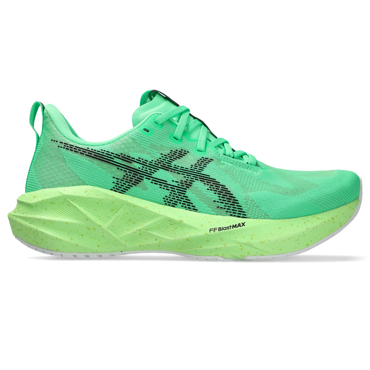ASICS NovaBlast 5 EKIDEN | The Runners Shop Toronto Canada