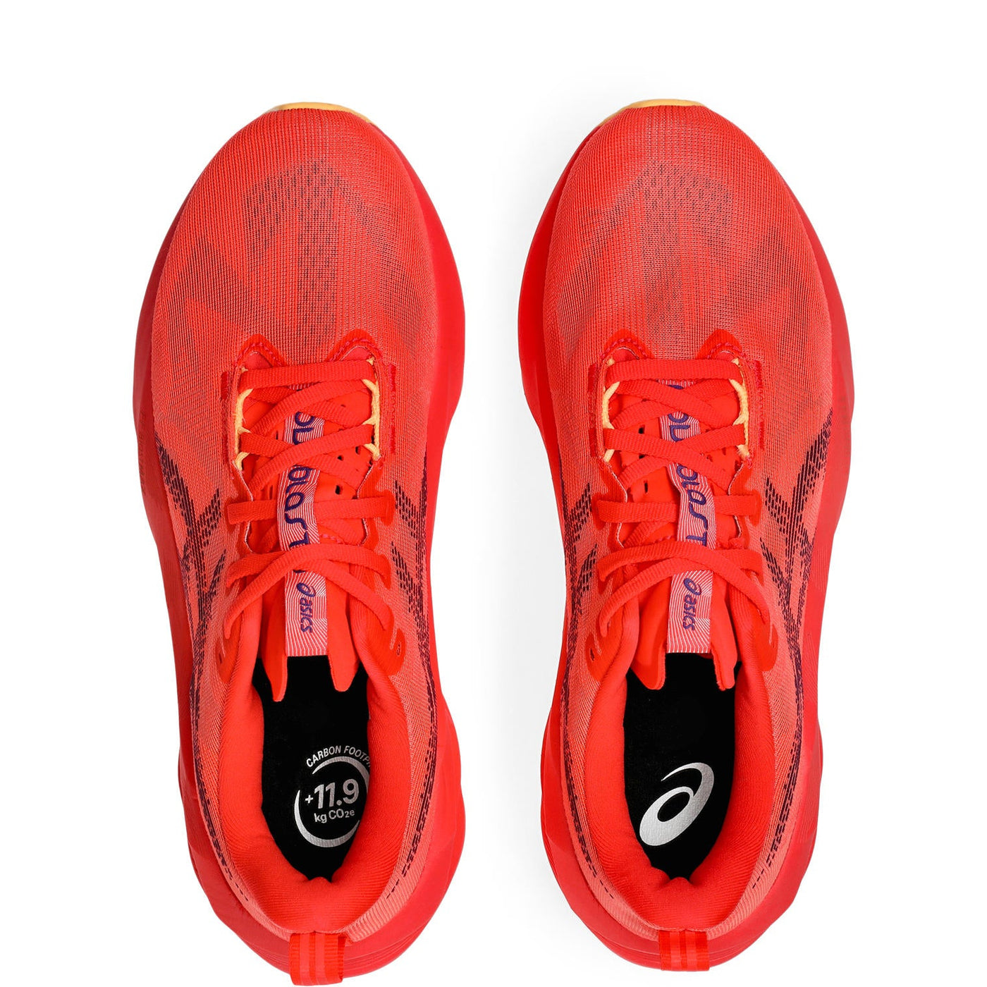 ASICS NovaBlast 5 men's