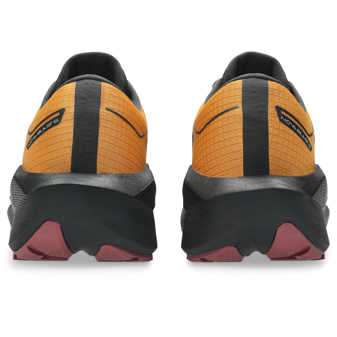 ASICS NovaBlast 6 GTX men&