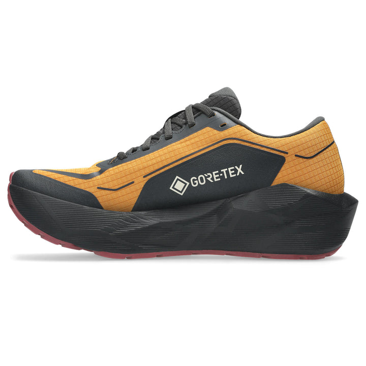 ASICS NovaBlast 6 GTX men&