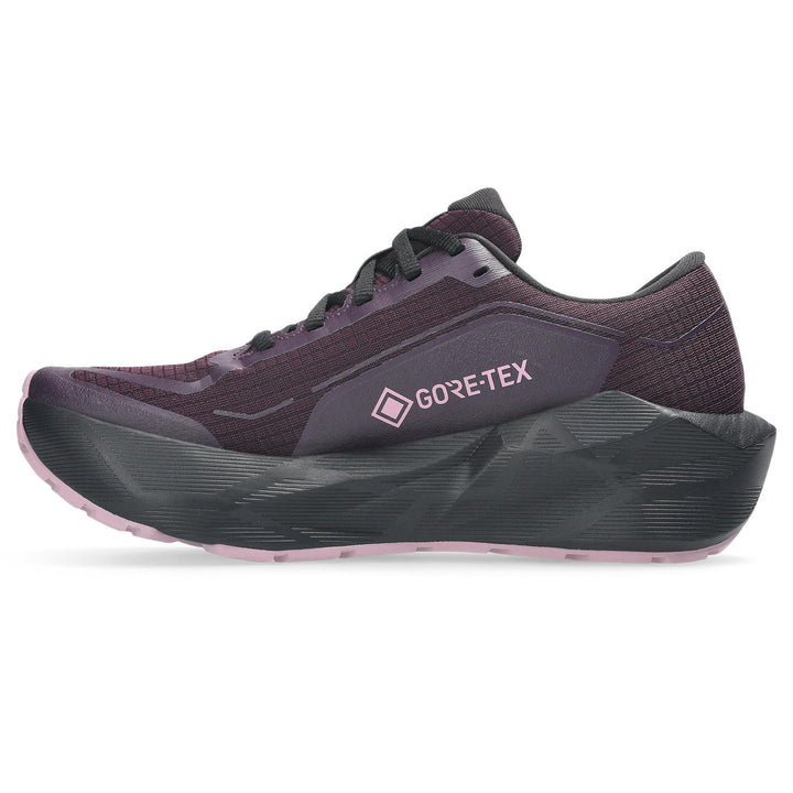 ASICS NovaBlast 6 GTX women&