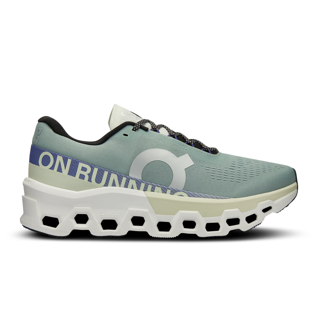 On Cloudmonster 2 men&