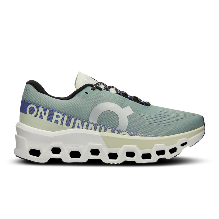 On Cloudmonster 2 men&