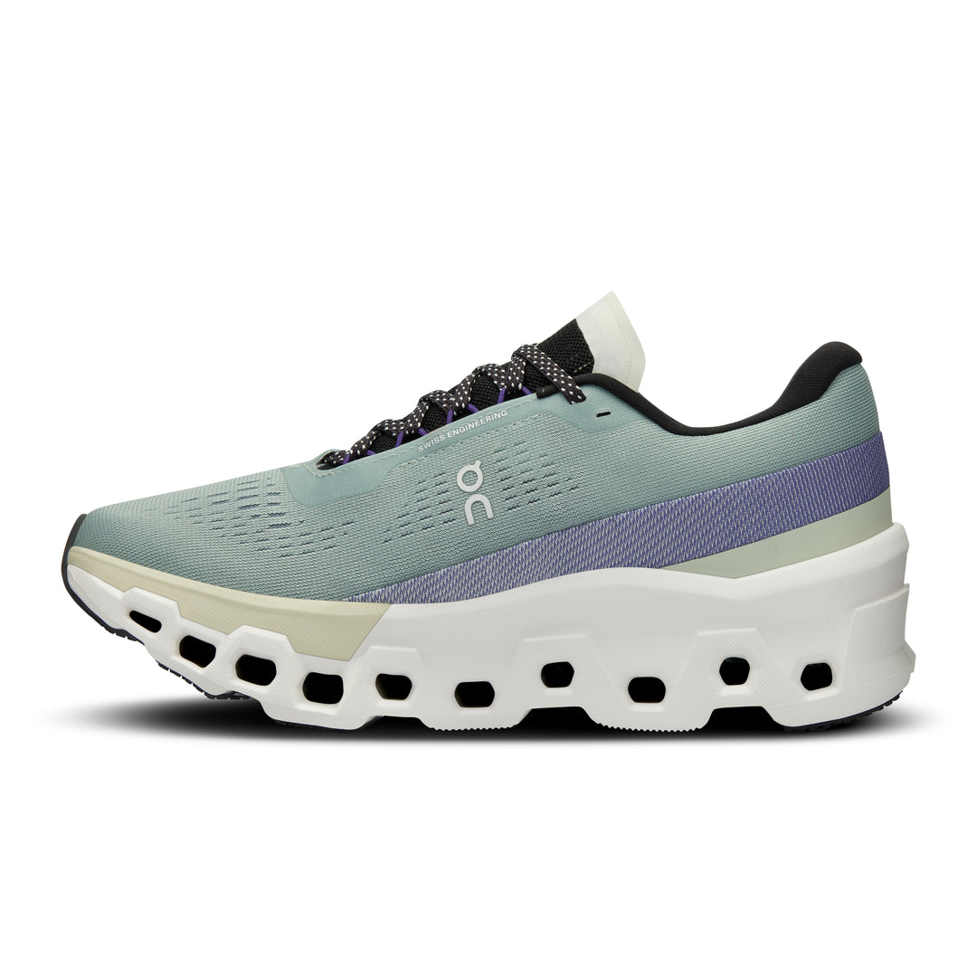 On Cloudmonster 2 women&