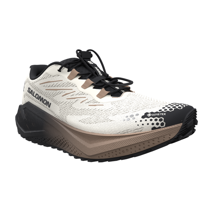 Salomon AeroBlaze GRVL GTX 4 women&