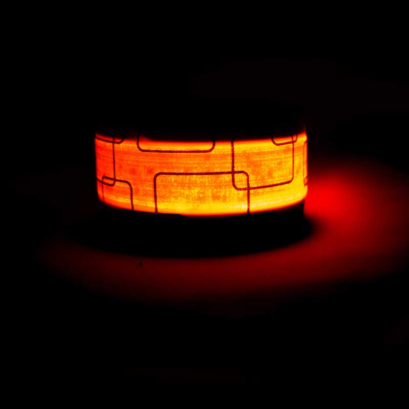 Be Vizible - Snap Band