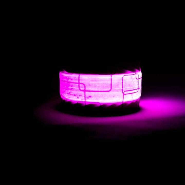 Be Vizible - Snap Band