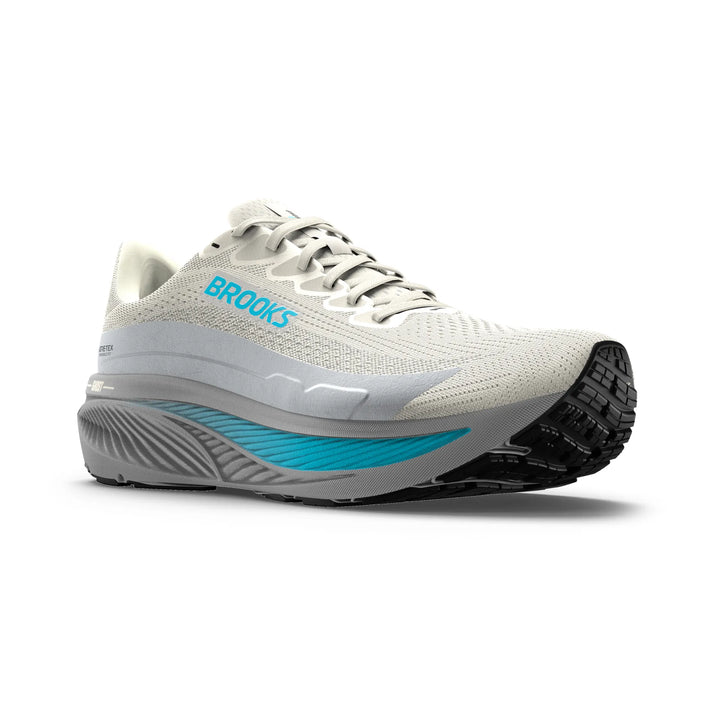 Brooks Ghost 17 GTX women&