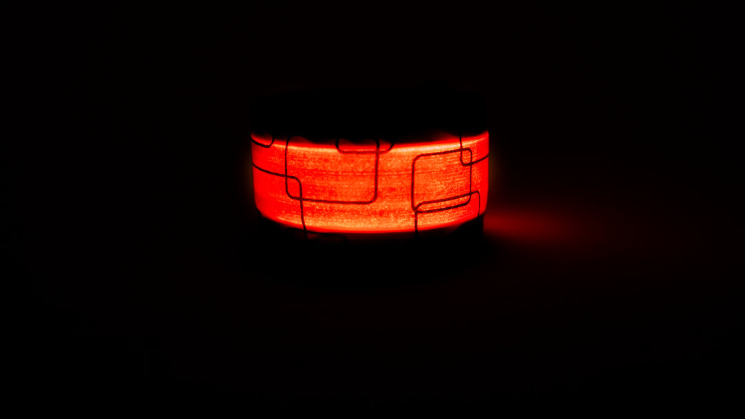 Be Vizible - Snap Band