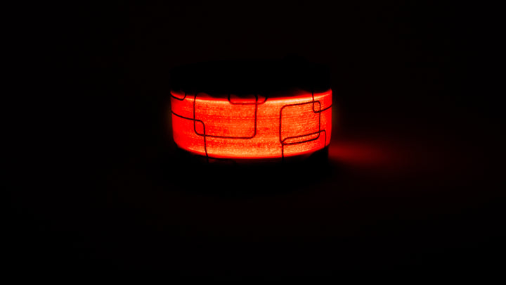 Be Vizible - Snap Band